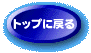 �C�X�����^��
