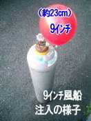 wEKX@D@̔@wED@̔ @wEKX@^@R@Cxg@D@KX@wEKX̔i