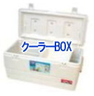 N[[{bNX@^@^@