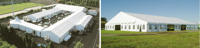 ��^�e���g�@�����^���@���R�@�A���z�[���e���g�́@�f�J�C�ȁ`�B