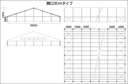 Ԍ30m^Cv